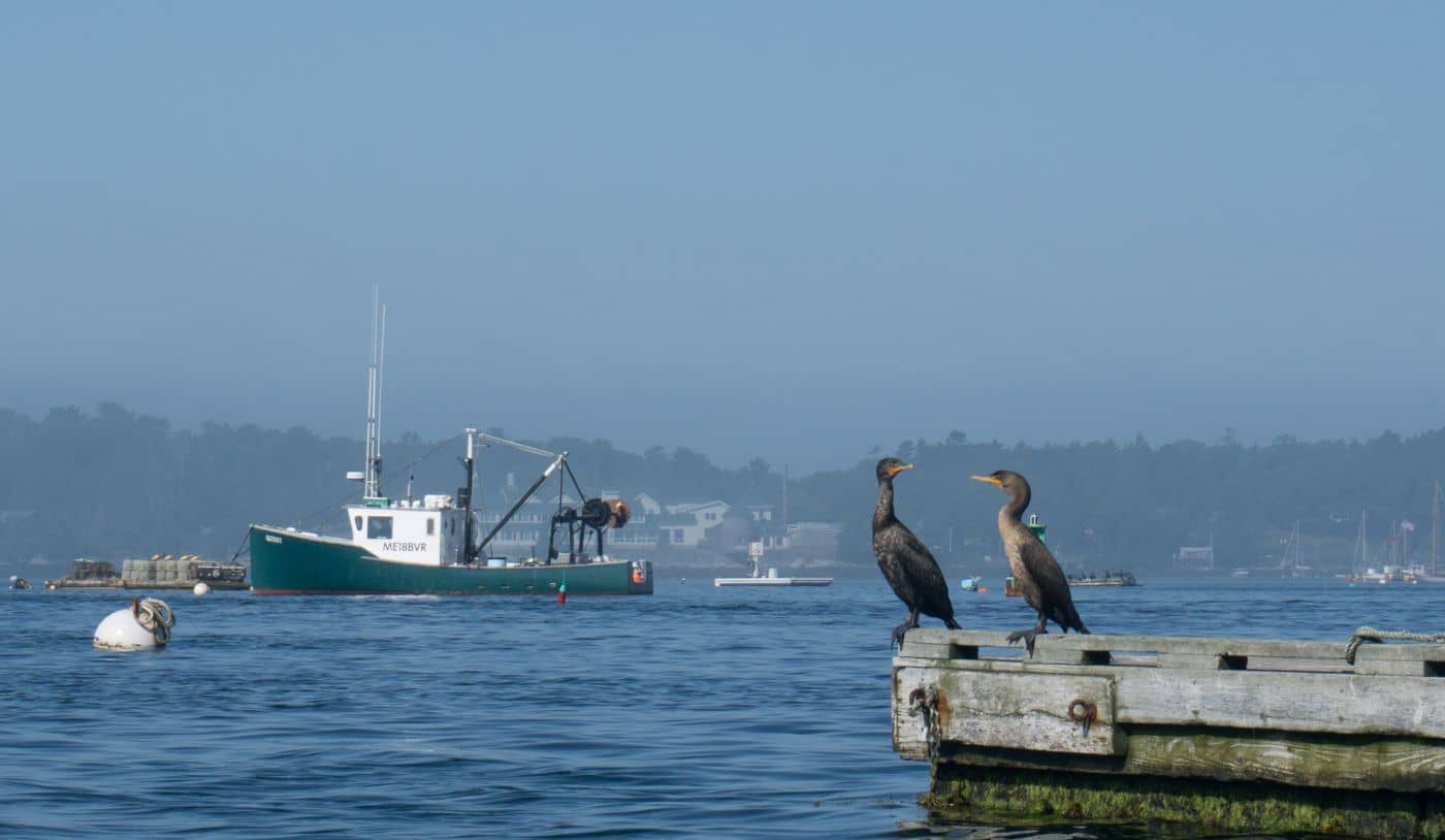 Boothbay Harbor