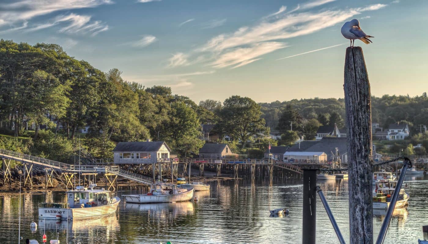 New Harbor