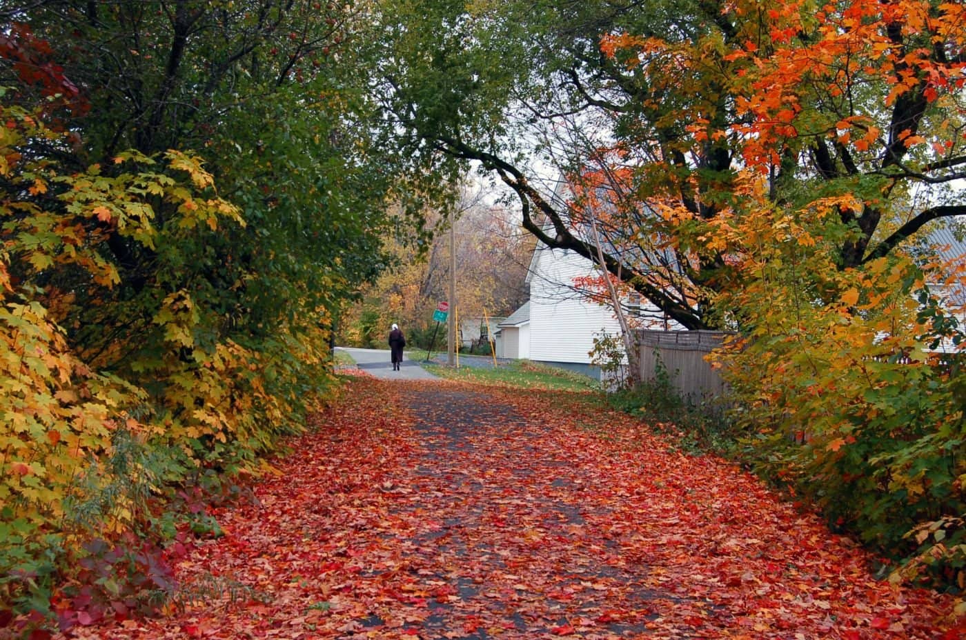 Presque Isle