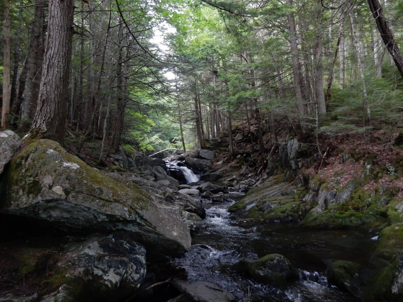 Windham