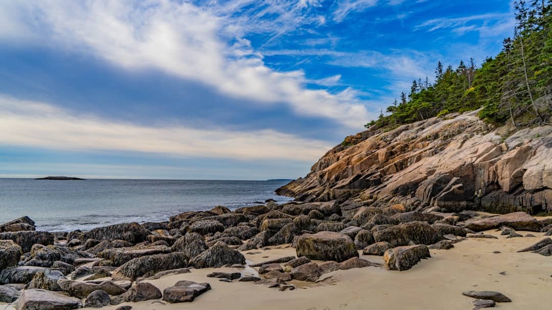 a rocky beach with trees and water