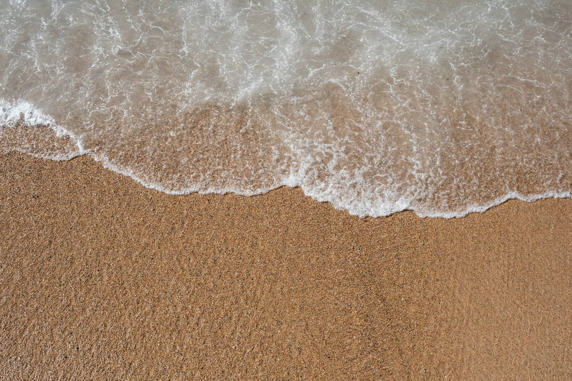 white and brown sand on brown sand