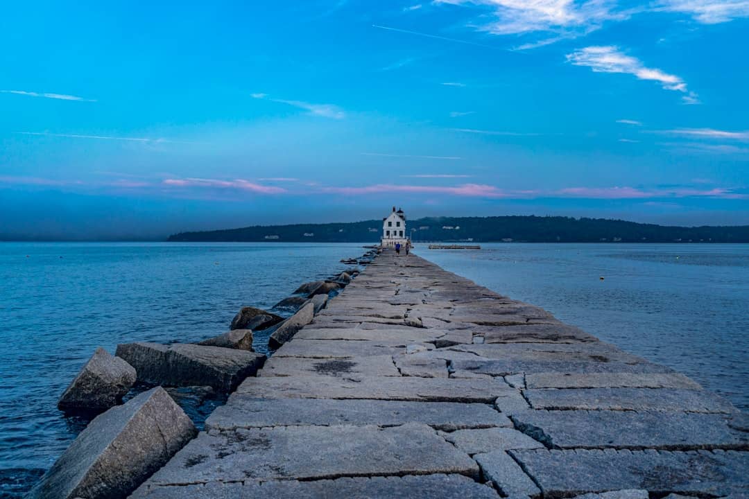 gray concrete pathway near body of water during daytime