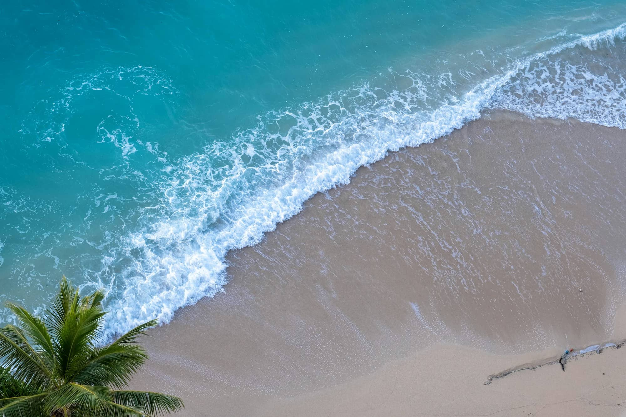 aerial view of beach during daytime