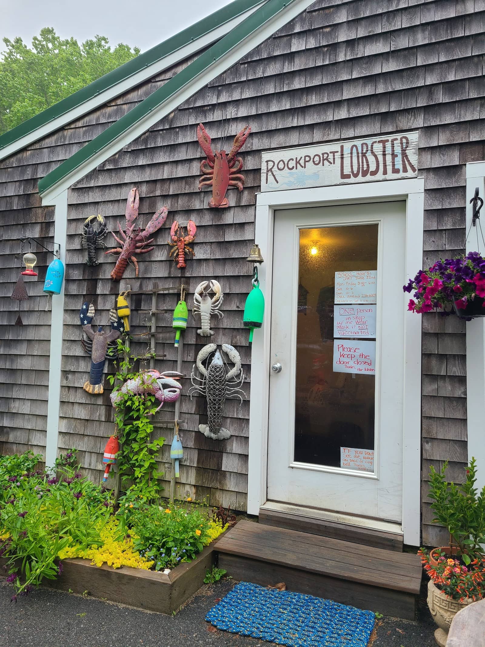 Rockport Lobster