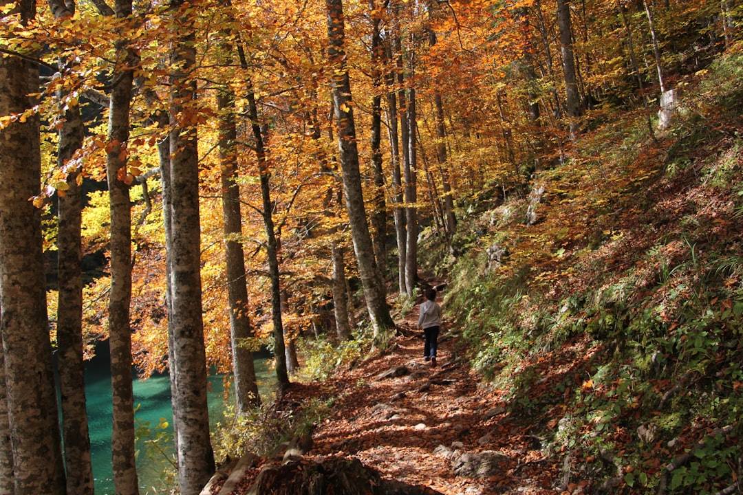 Best Hiking Trails in Maine