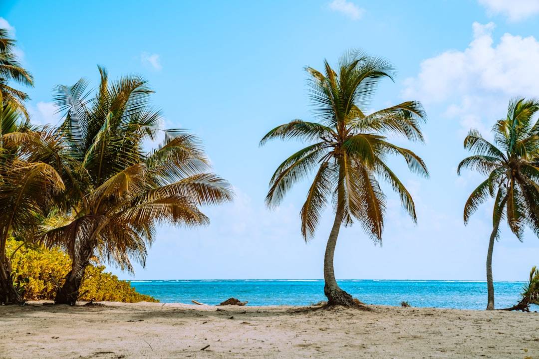 The Best Hotels in Mount Desert Island