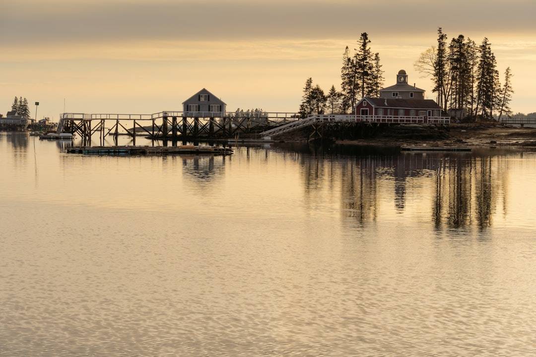 Boat Trips and Fishing Charters in Boothbay