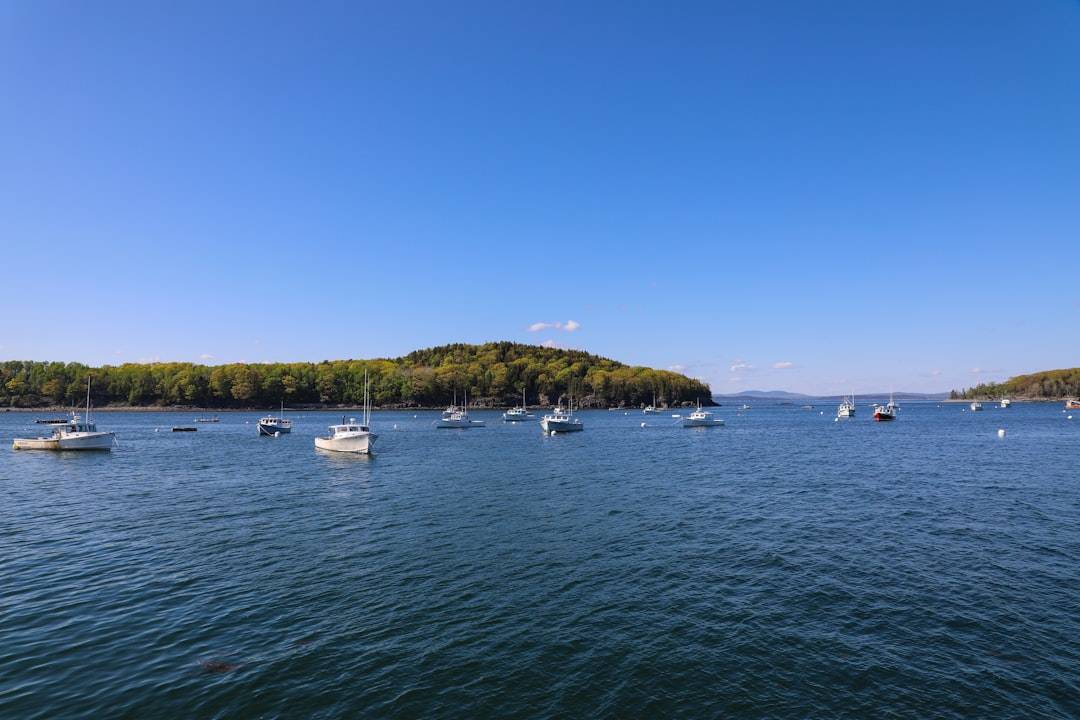 Fishing Charters from Bar Harbor