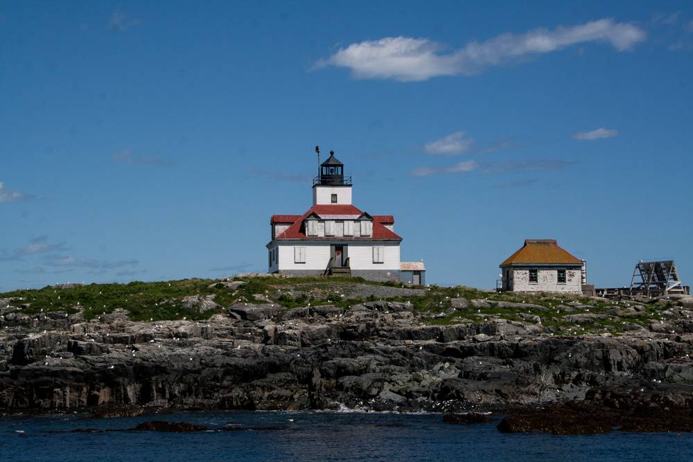Fishing Charters from Bar Harbor