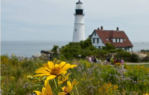 Best Parks in Portland