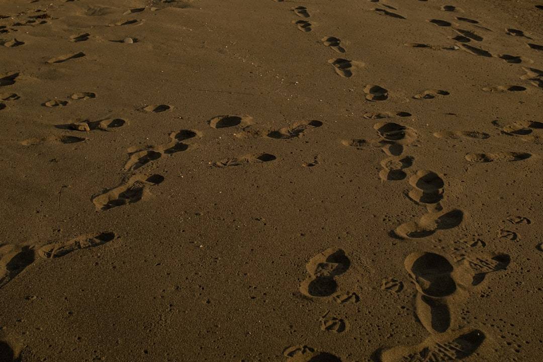 Best Sandy Beaches in Maine