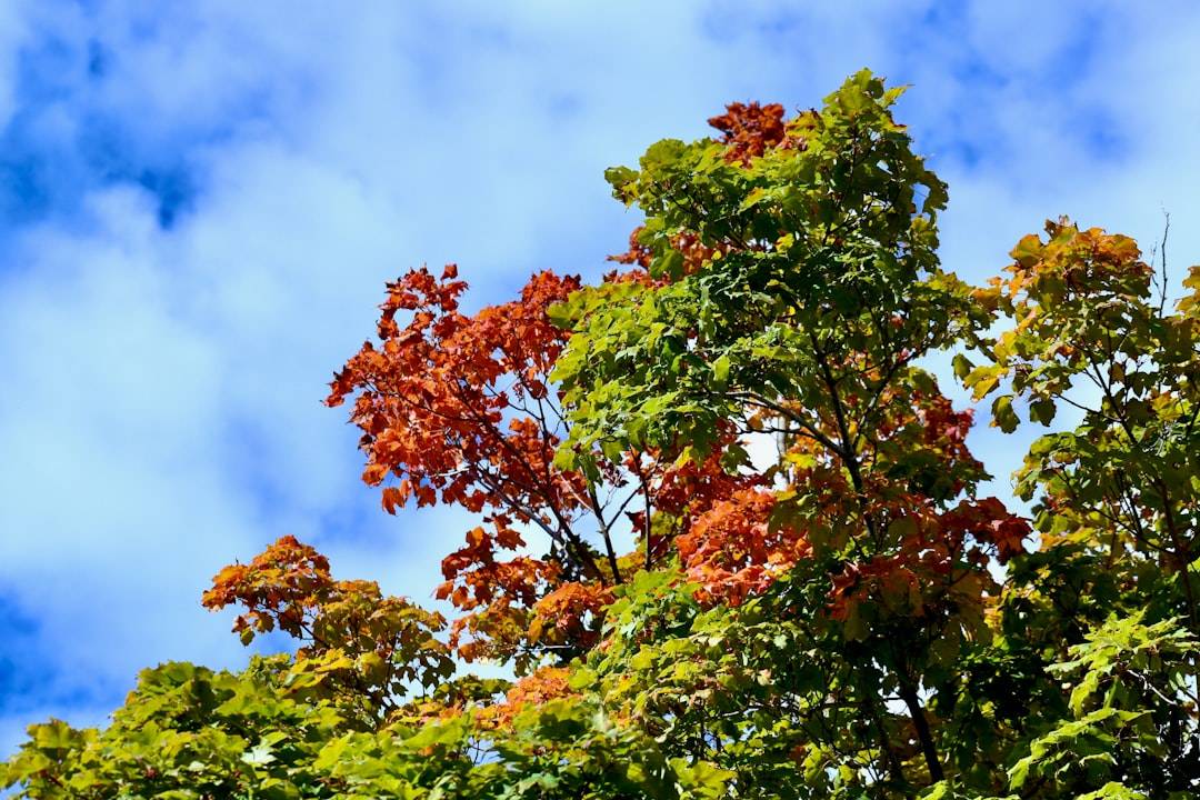 Things to Do in Brunswick, Maine