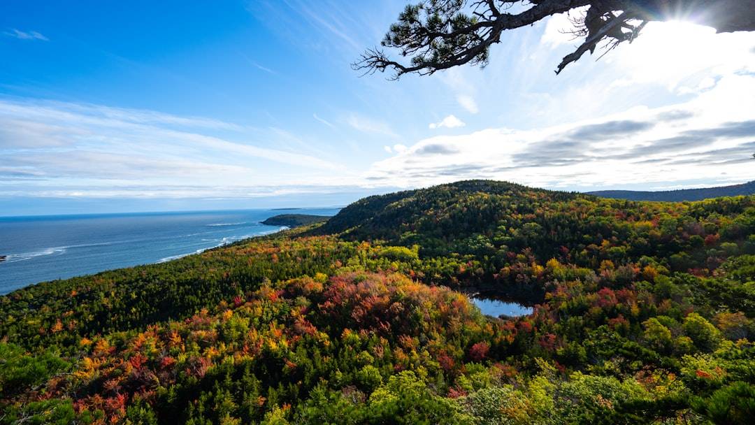 Wildlife and Nature Spots in Acadia