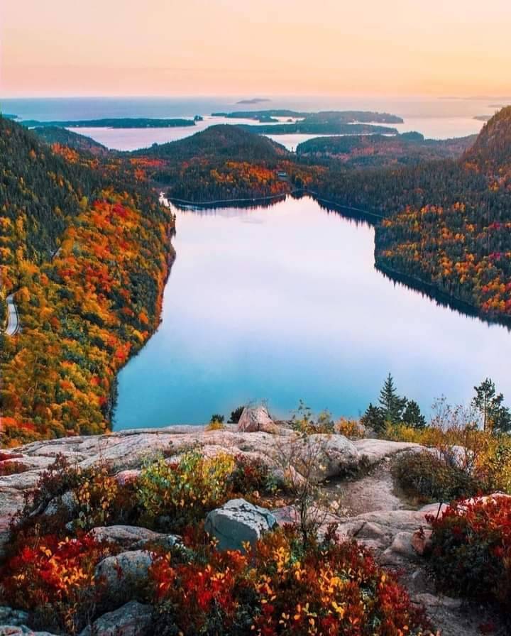 Wildlife and Nature Spots in Acadia
