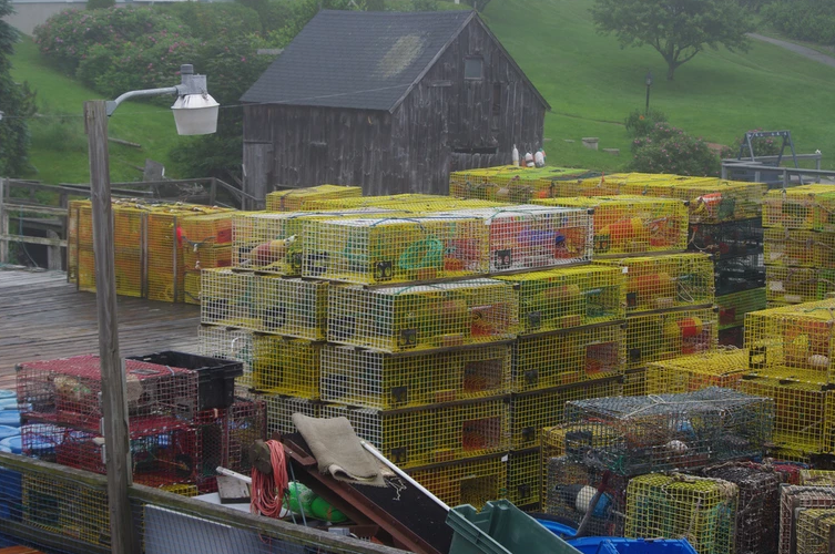 Shaw's Fish & Lobster Wharf