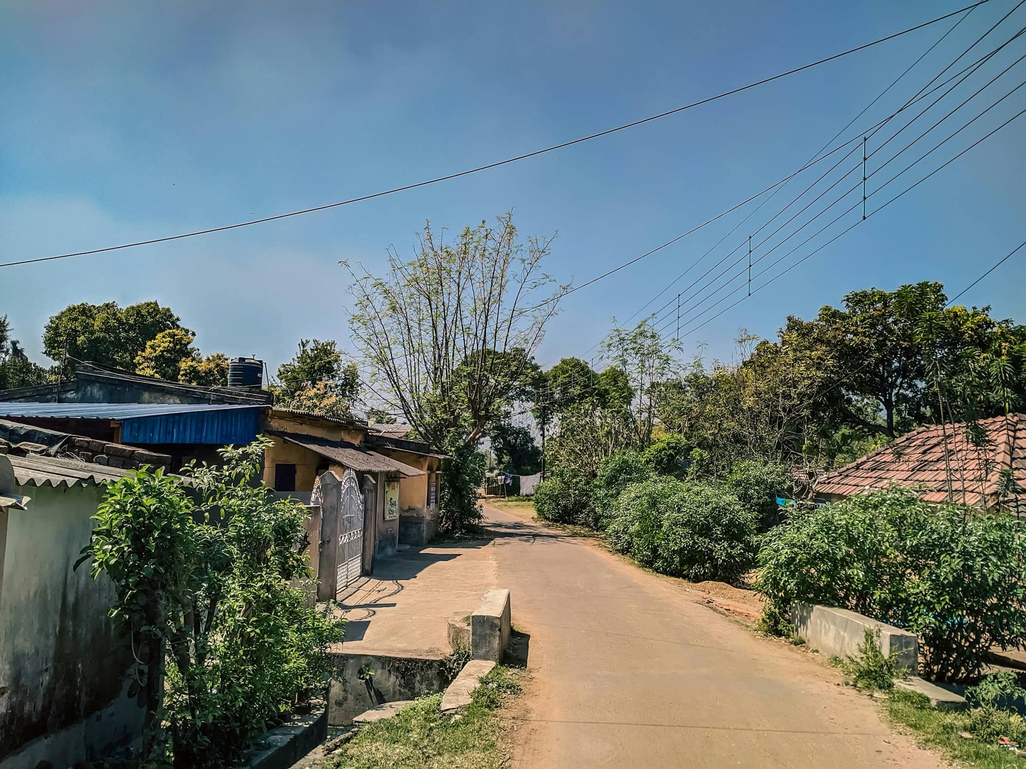 a dirt road with houses and trees in the background