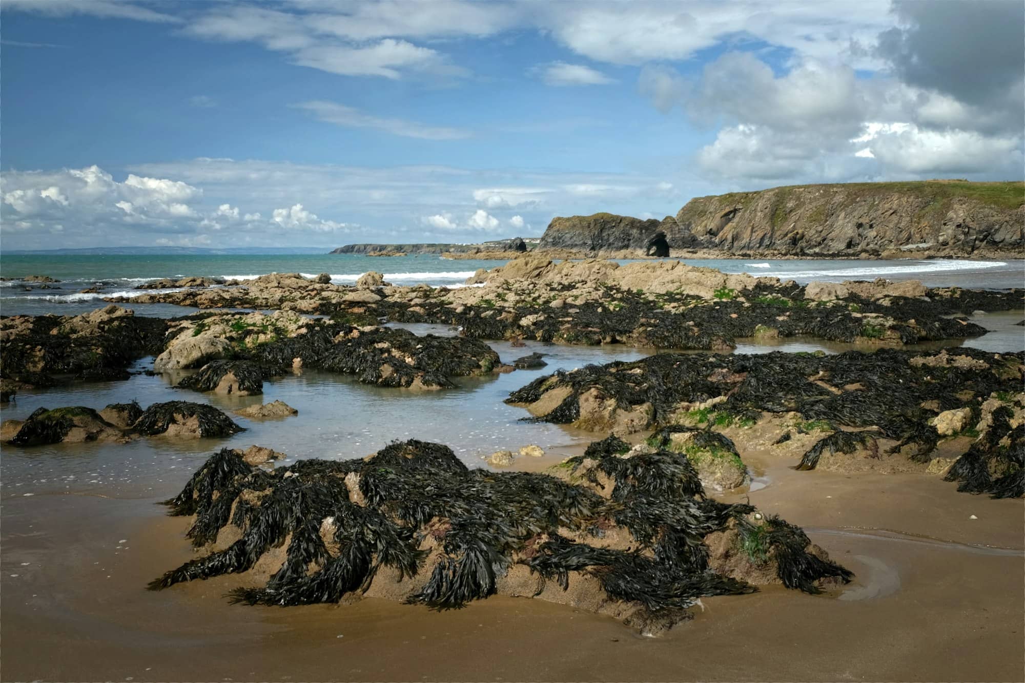 Rocky shoreline with seaweed under a cloudy sky