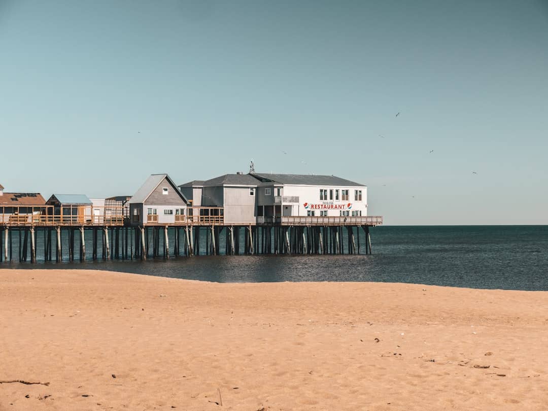 a beach with a pier and houses on it
