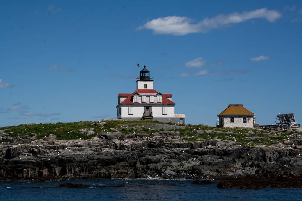 Acadian Boat Tours