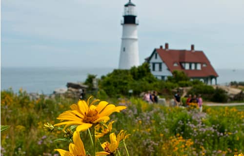 Fort Williams Park
