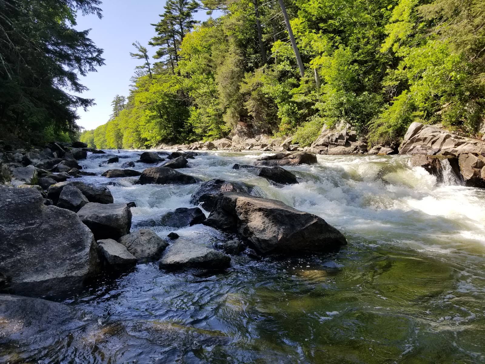 Presumpscot River Preserve