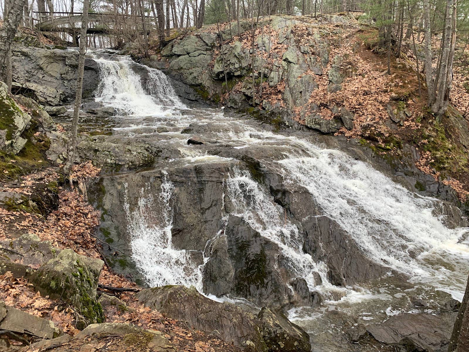 Fore River Sanctuary
