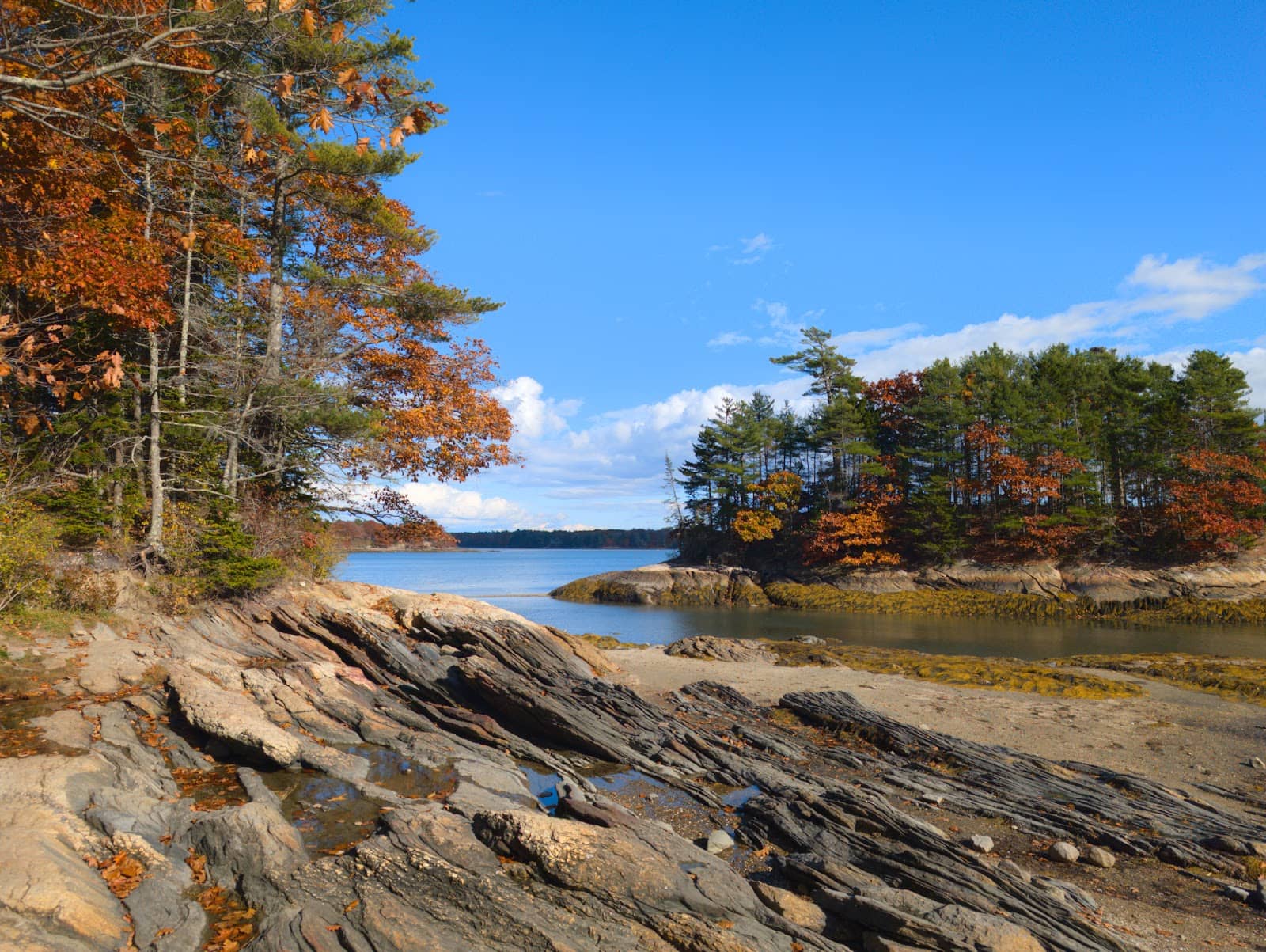 Wolfe's Neck Woods State Park