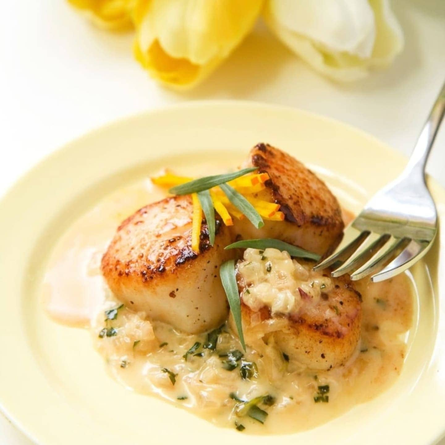 Maine Shellfish Co