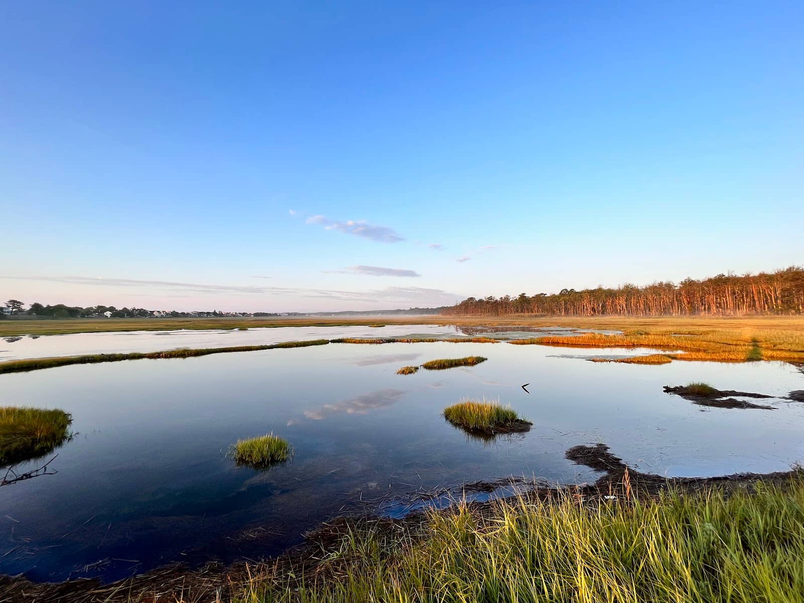 Wells National Estuarine Research Reserve