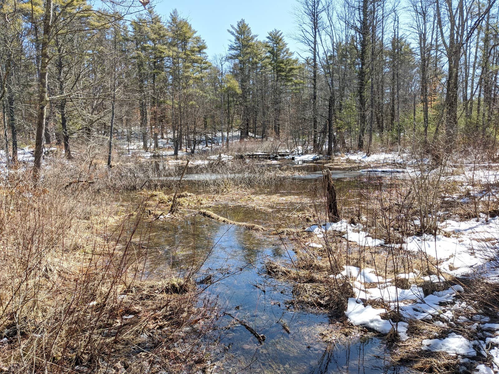 Hilton-Winn Preserve