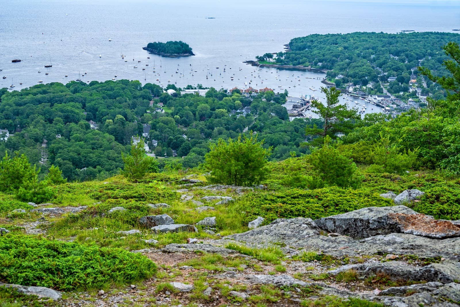 Camden Overlook