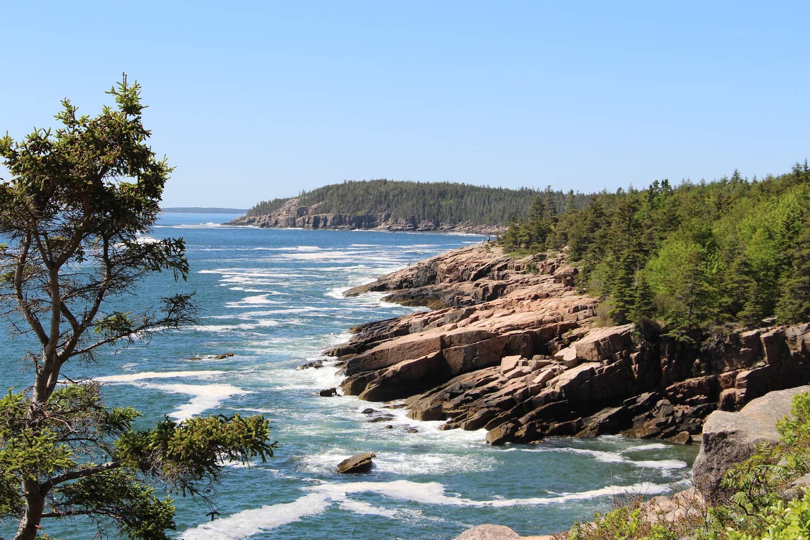 Ocean Path Trailhead