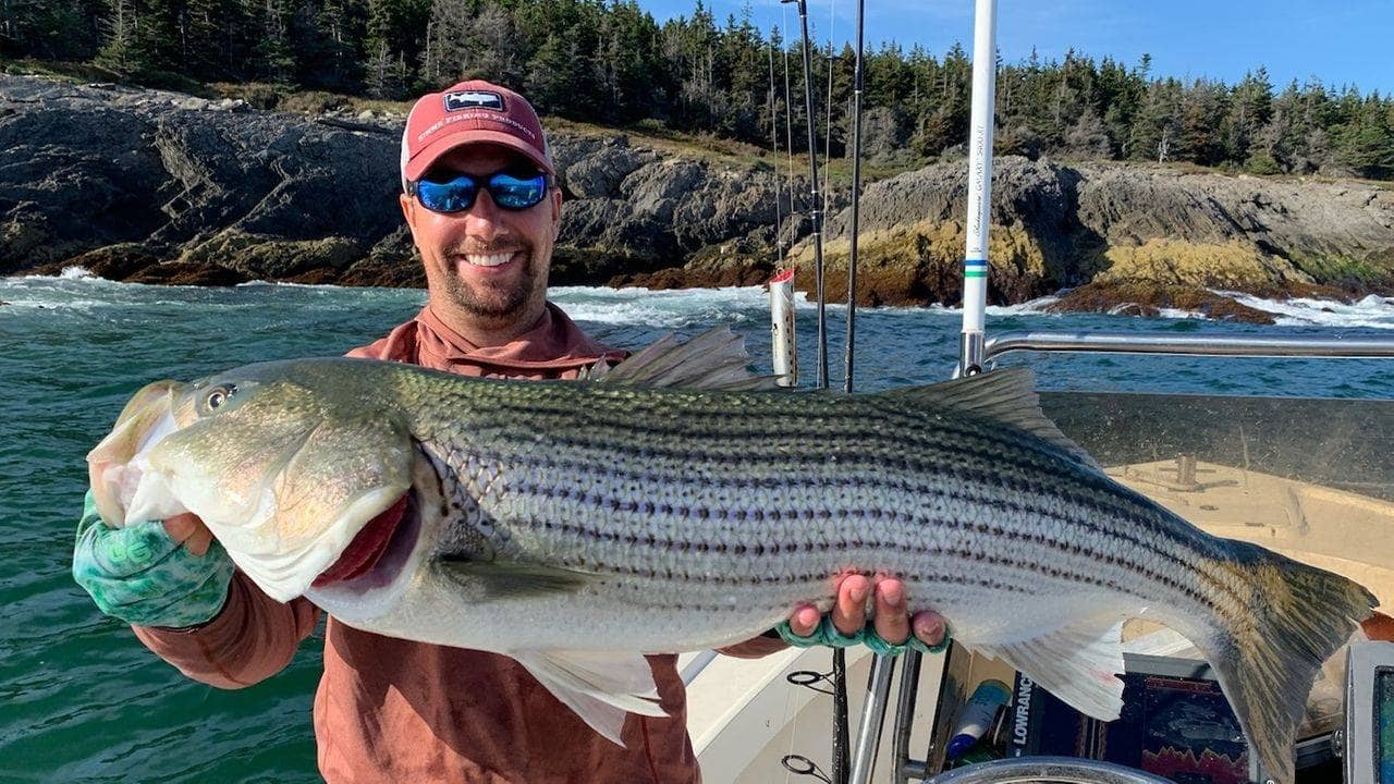 Super Fly Charters