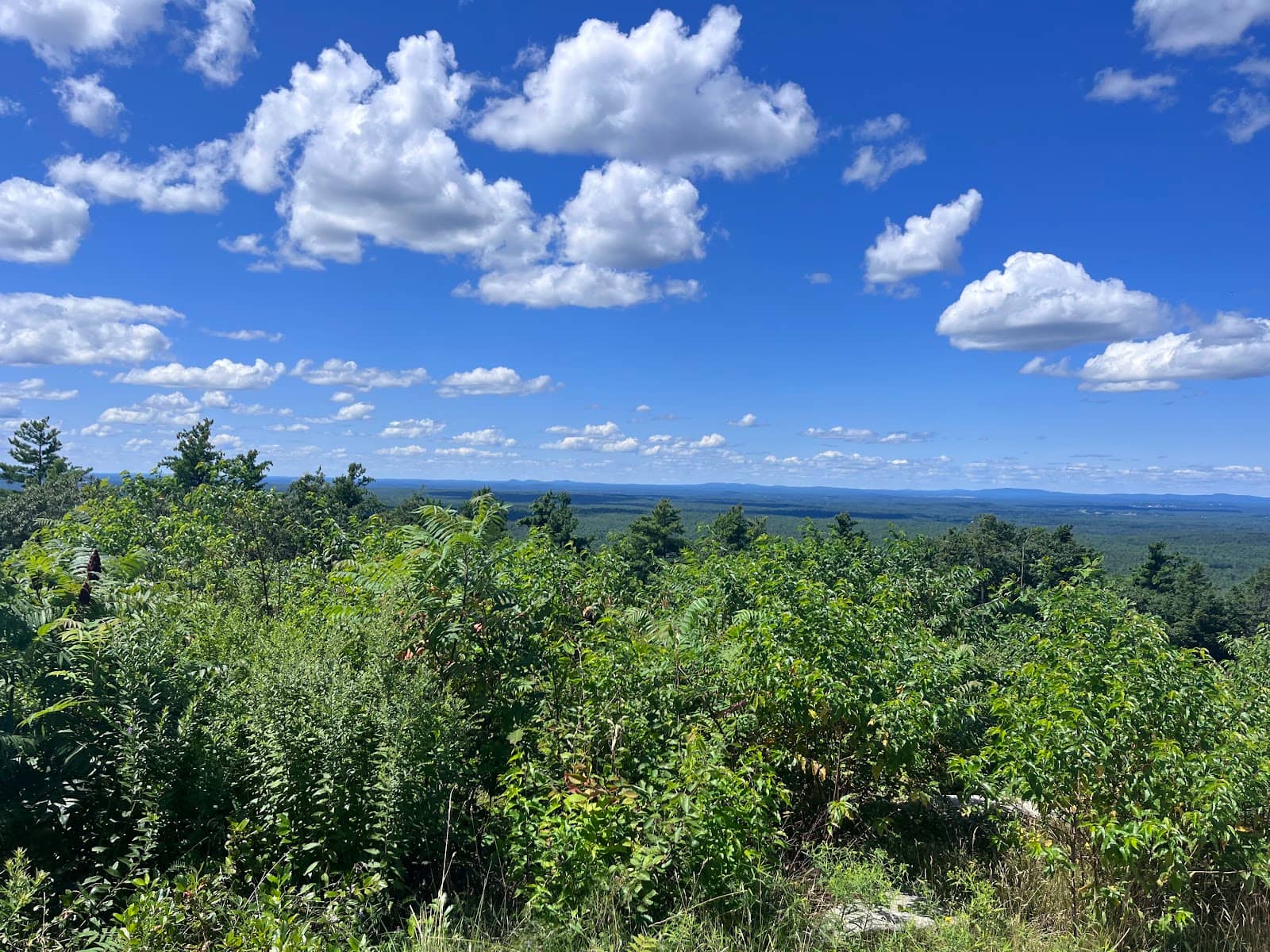 Mount Agamenticus Conservation Region