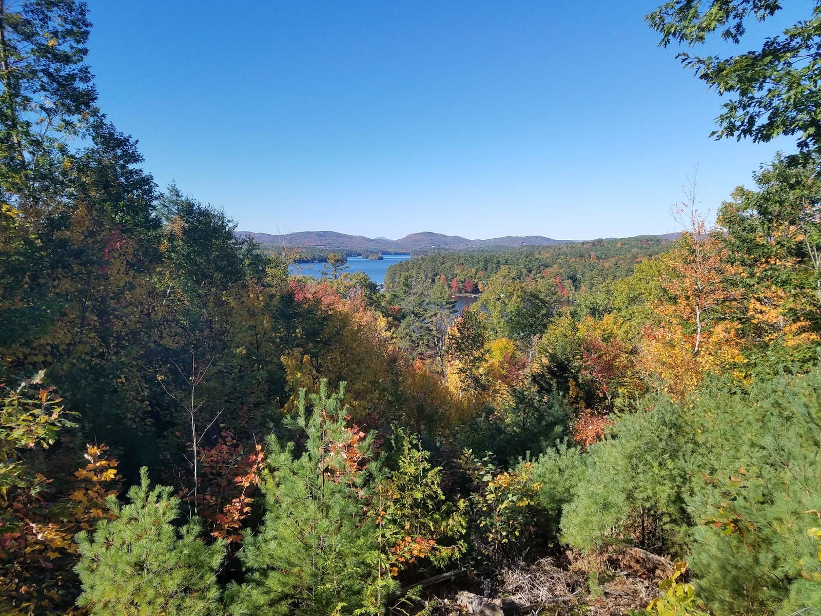 Roberts Farm Preserve Trails