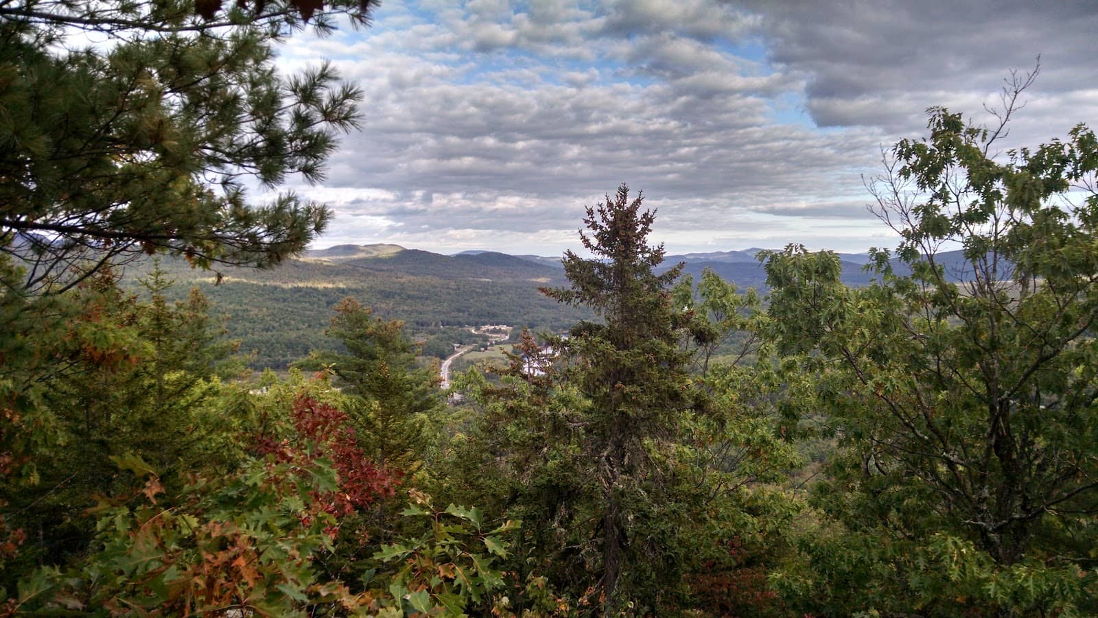 Mount Will Town Forest