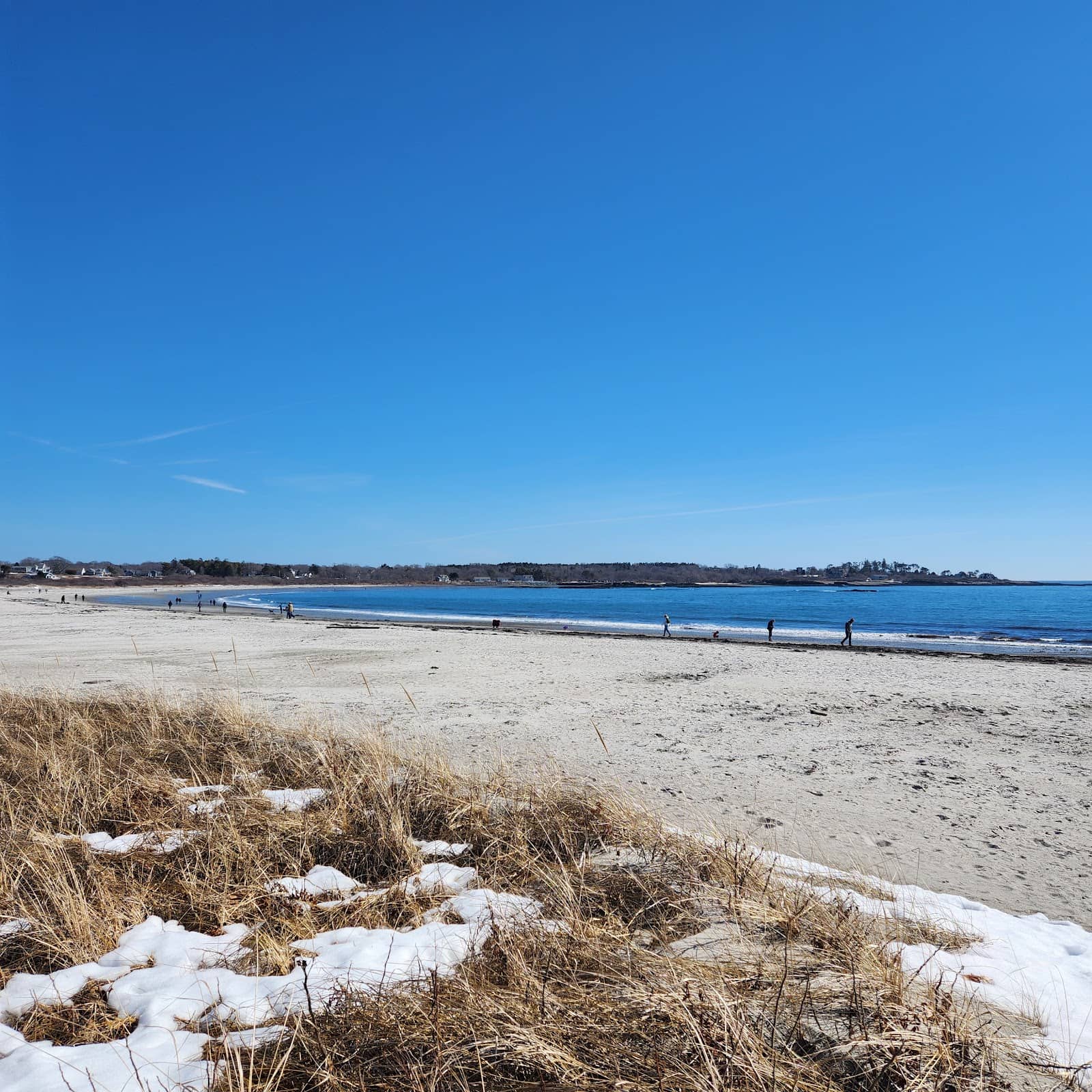 Crescent Beach State Park