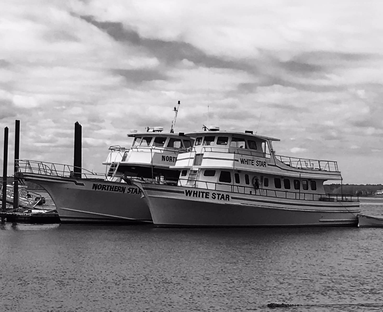 Al Gauron Deep Sea Fishing and Whale Watching