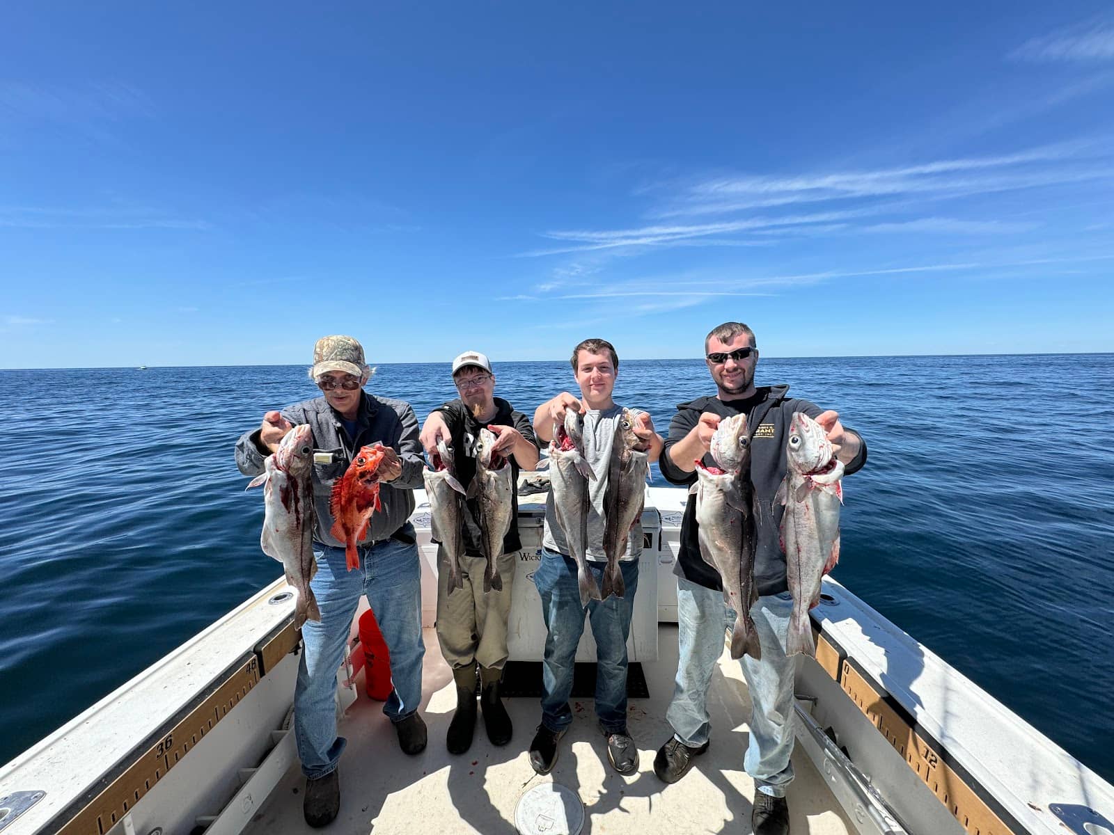 Relentless Pursuit Fishing Charters and Sight Seeing