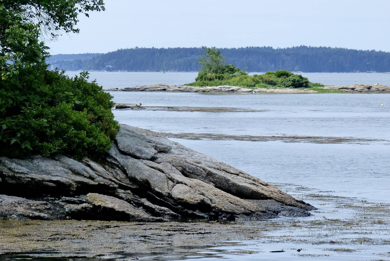 Porter Preserve