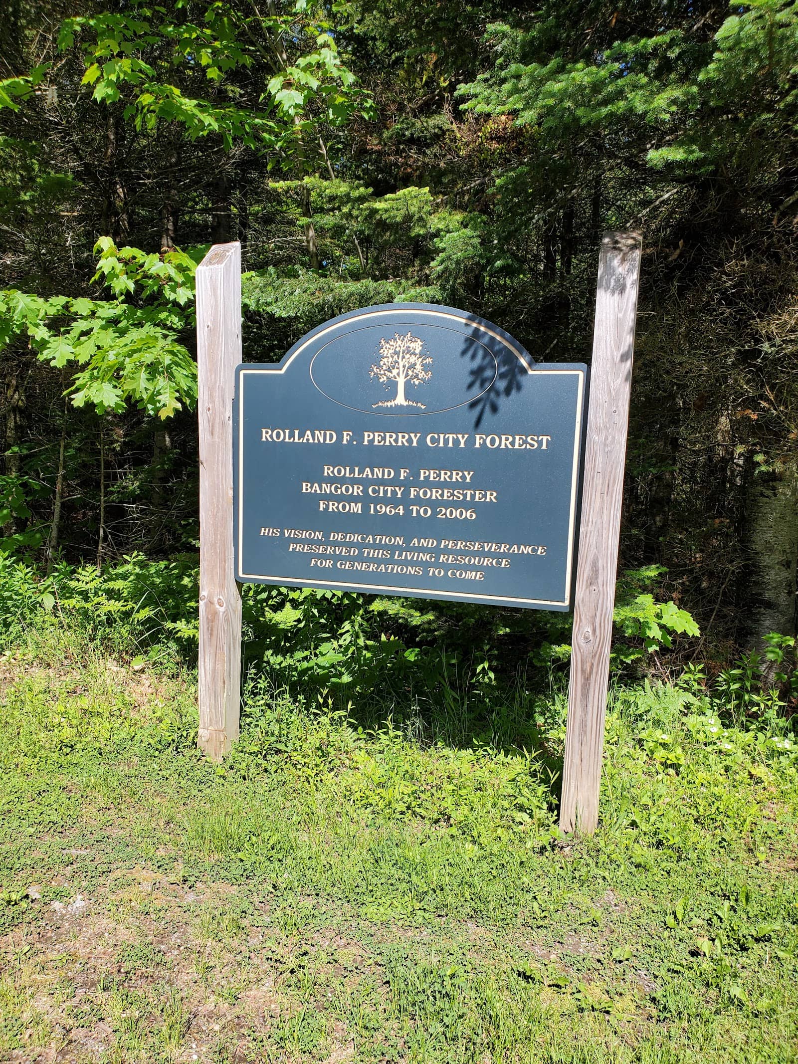 Bangor City Forest