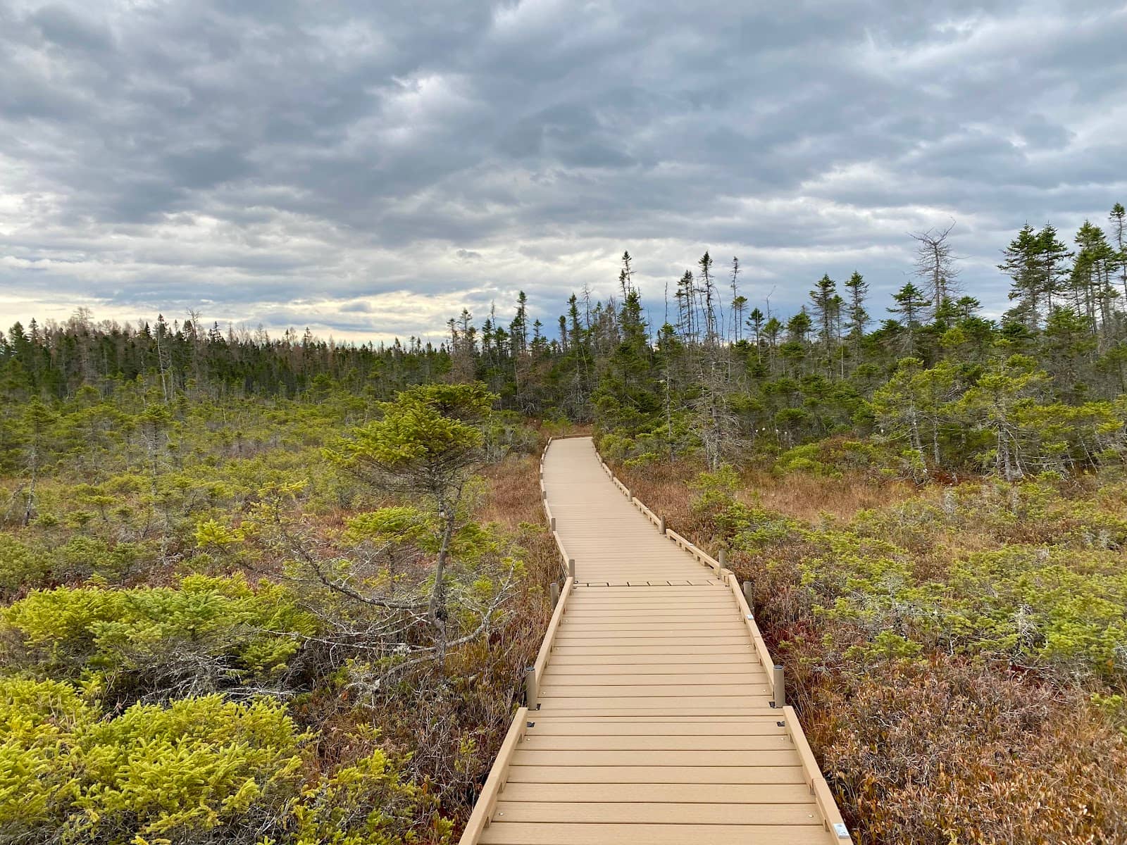Orono Bog Boardwalk