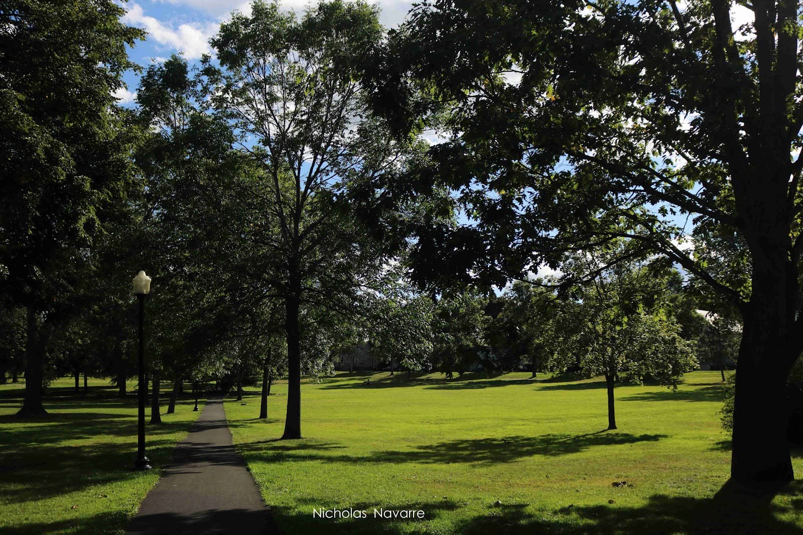 Chapin Park