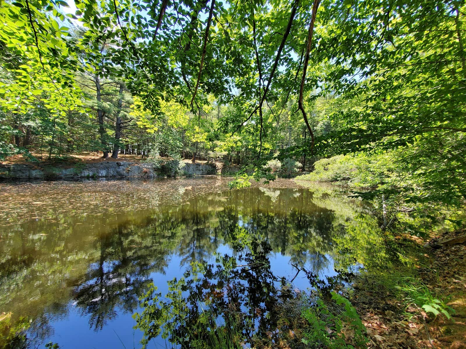 Augusta Nature Education Center