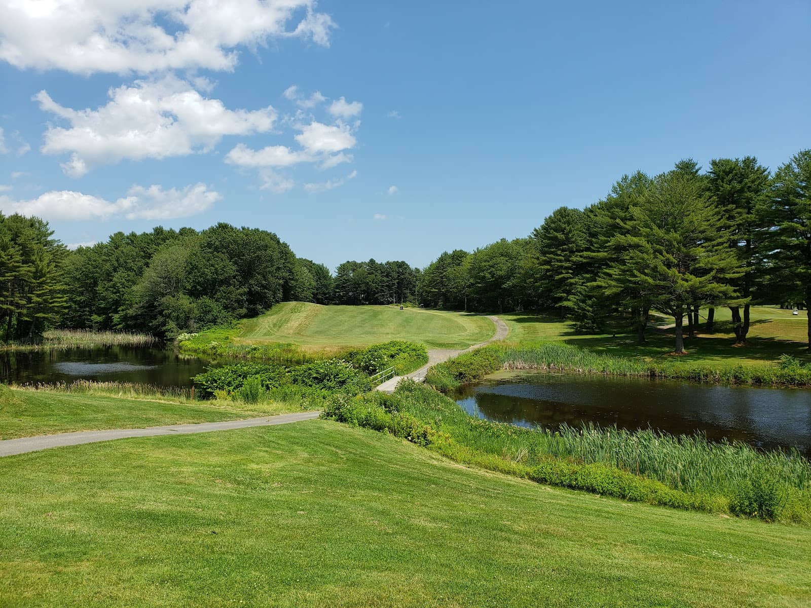 Willowdale Golf Club