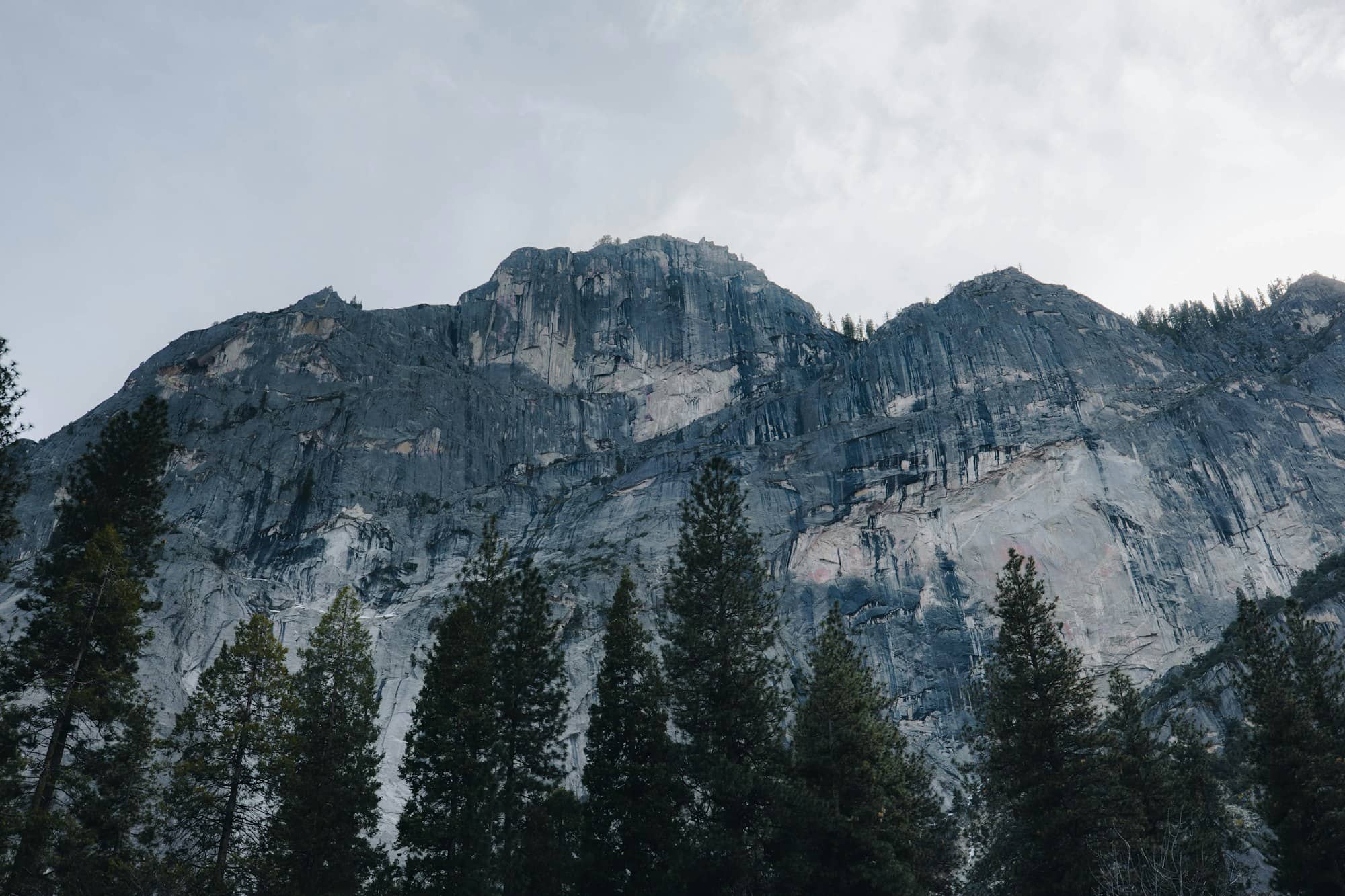 Majestic mountain range with evergreen trees in foreground