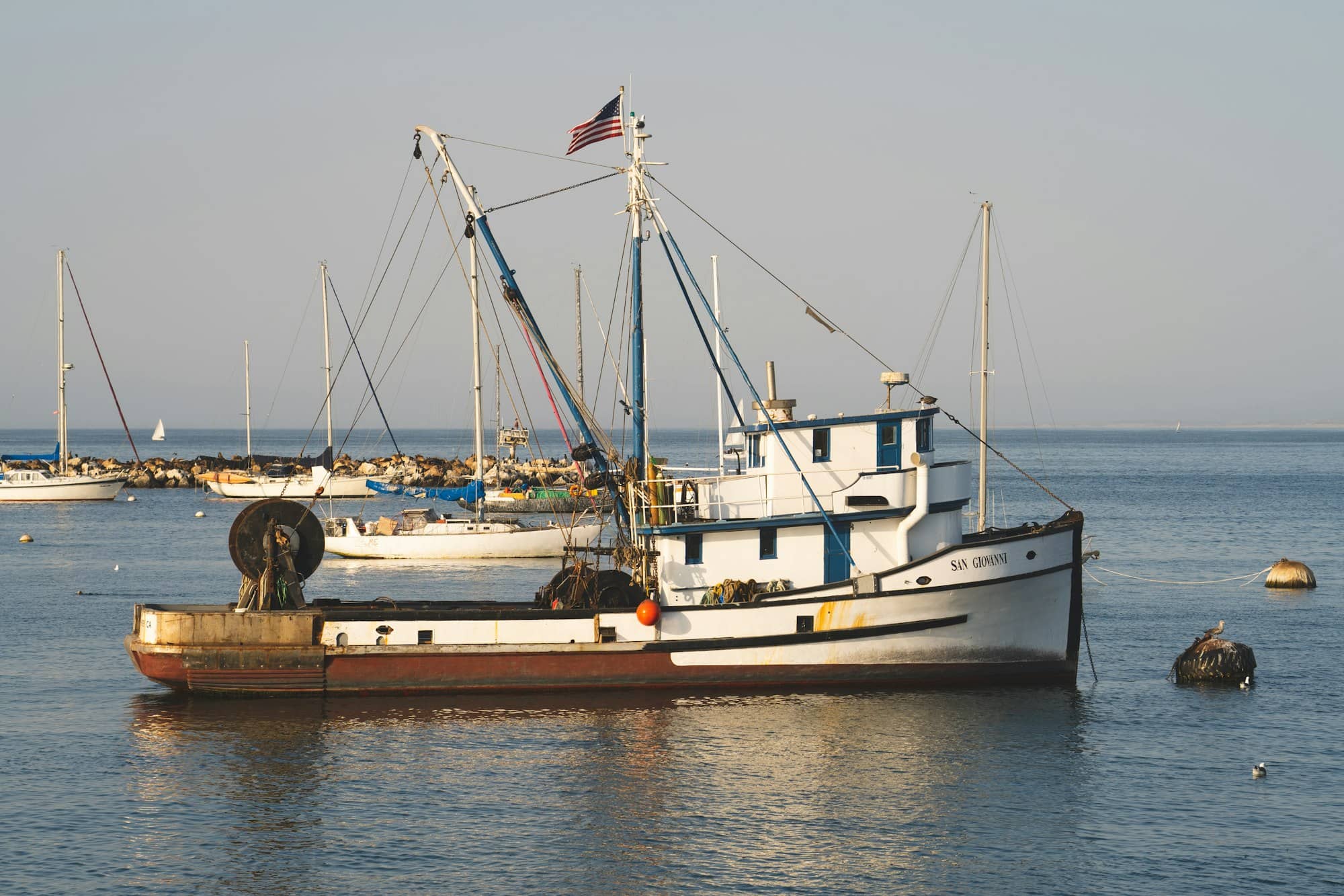 white and brown boat on sea during daytime