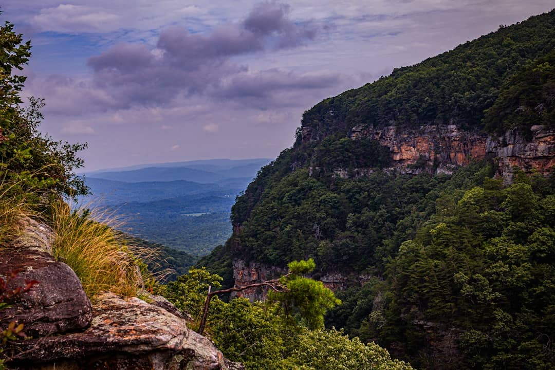 A dramatic canyon overlooks a vast, blue landscape.
