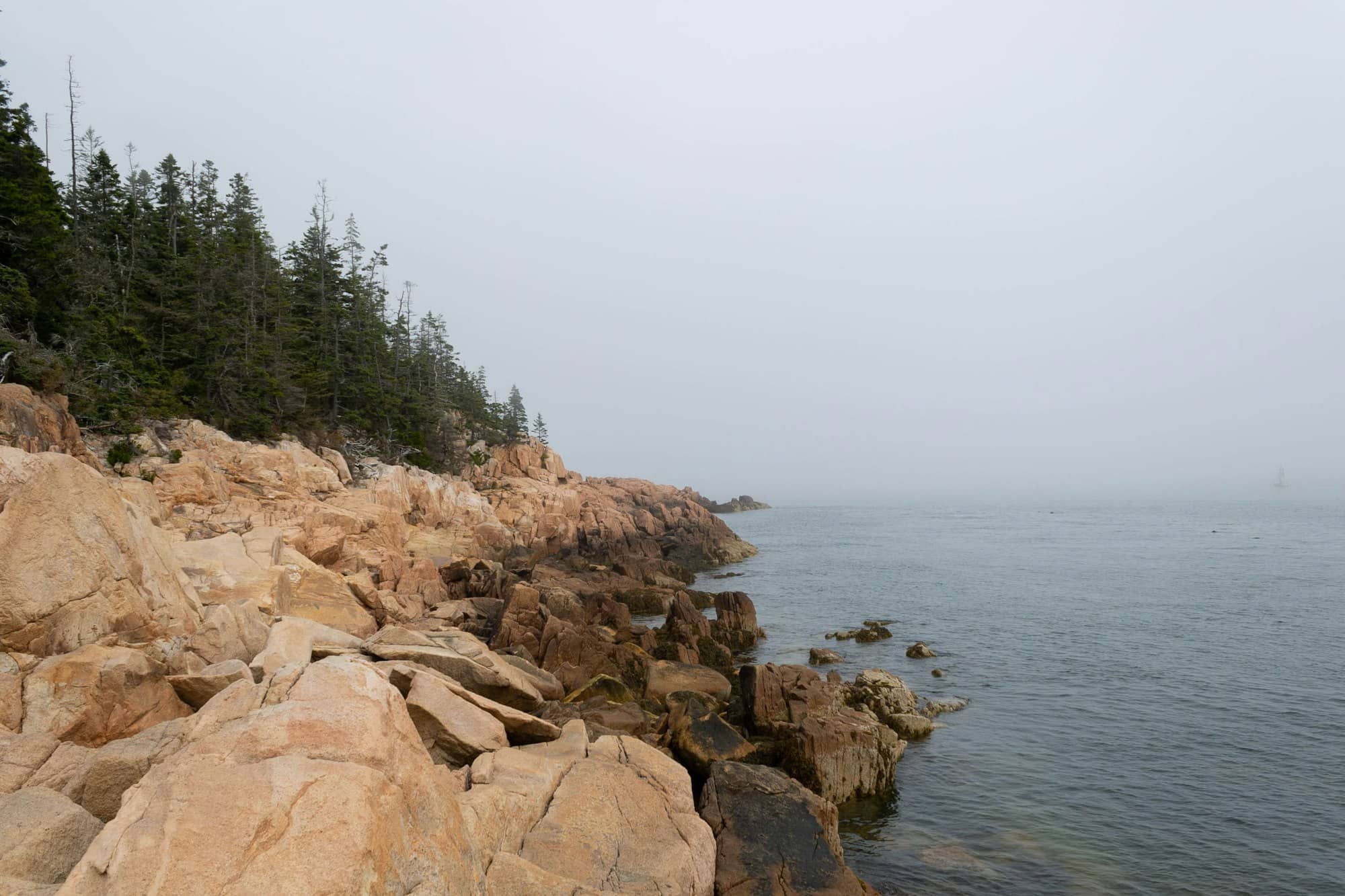A foggy day on the shore of a lake
